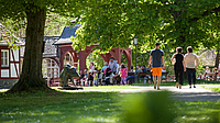 Der grüne Kurpark in Bad Salzhausen lädt zum Verweilen und Entspannen ein (Foto: Linz Cinematographie)