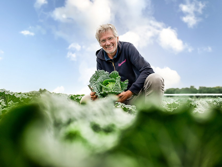 Thomas Wolff in einem Wirsingfeld