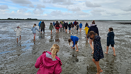 Kinder, die über das Wattenmeer laufen