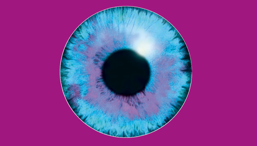 Logo der visionale: Blaue Iris auf violettem Hintergrund.