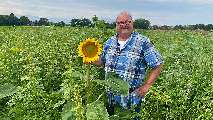 Gerard Rack steht inmitten eines Sonnenblumenfeldes.