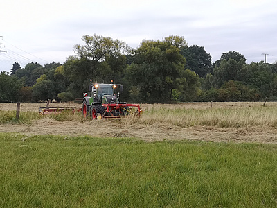 er Aufwuchs einer Spenderfläche wird für die Mahdgutübertragung vorbereitet.