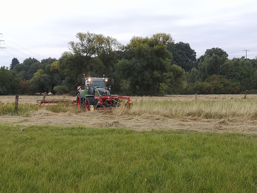 er Aufwuchs einer Spenderfläche wird für die Mahdgutübertragung vorbereitet.