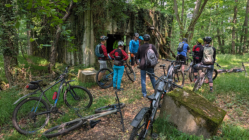 Eine Gruppe Radler im Wald.