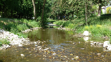 Ein Fluss mit niedrigem Wasserstand.
