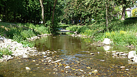 Ein Fluss mit niedrigem Wasserstand.