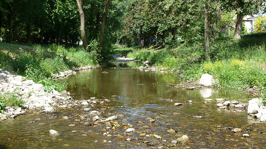 Ein Fluss mit niedrigem Wasserstand.