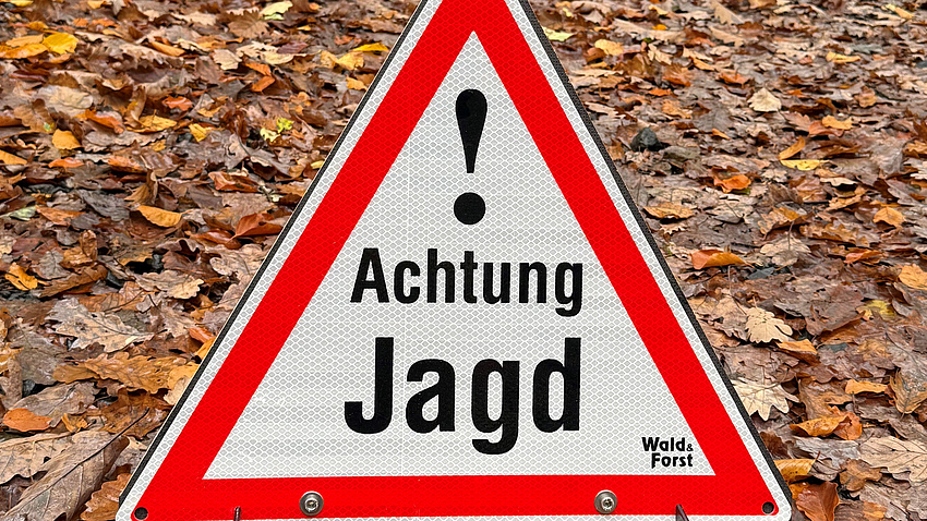 Ein dreieckiges rot umrandetes Warnschild mit der Aufschrift Achtung Jagd steht auf einem mit Blättern bedeckten Boden.