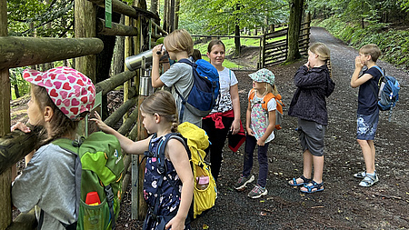 Mehrere Kinder stehen vor einem Tiergehege.