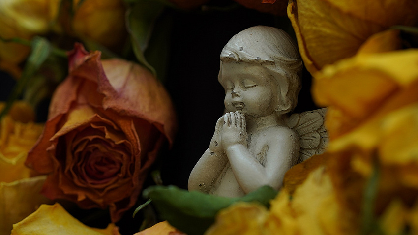 Eine Engelsstatue zwischen gelben Blumen.