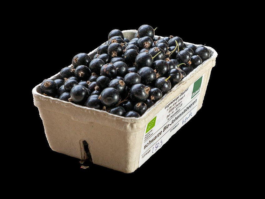 schwarze Johannisbeeren