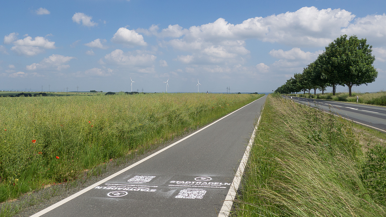 Abbildung 1 STADTRADELN-Piktogramme auf einem Radweg von grünen Wiesen und Bäumen umgeben