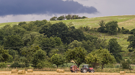 Ein Traktor und Strohballen auf einem abgemähten Feld. Im Hintergrund eine hügelige Wiese mit Bäumen.