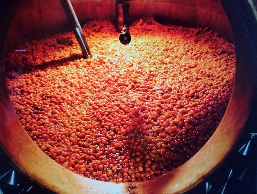 Maische (Foto: Reiner Emmerich)