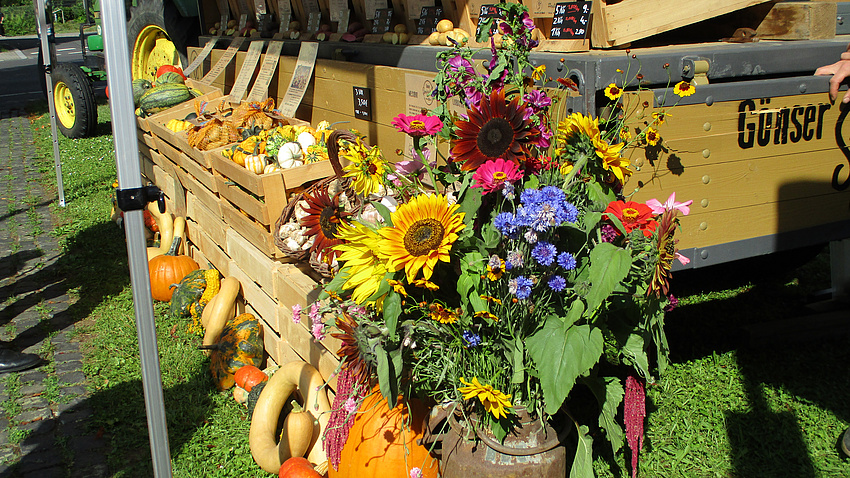 Ein Marktstand mit Blumen und Kürbissen