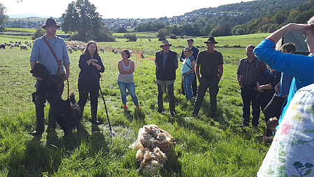 Mehrere Personen stehen im Halbkreis um einen Mann und eine Frau, die etwas erzählen. Im Vordergrund geschorene Schafwolle, im Hintergrund Schafe auf der Weide.