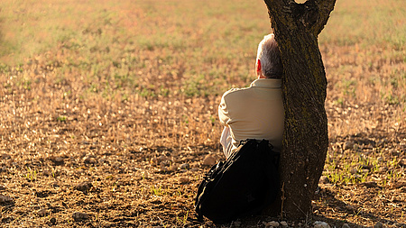 Von hinten zu sehen ein Mann lehnt an mit seinem Rücken an einem Baum und schaut in die Landschaft  Quelle: josealbefotos auf Pixabay