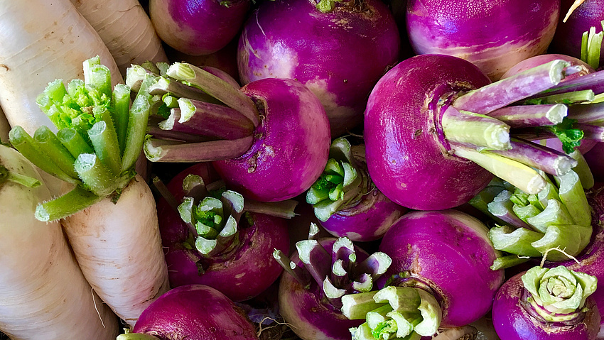 Lange weiße Rettiche und rote Rüben