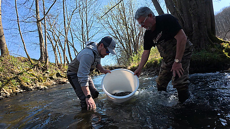 Zwei Männer stehen in einem Fluss. Sie entleeren einen Eimer mit Fischen ins Wasser.