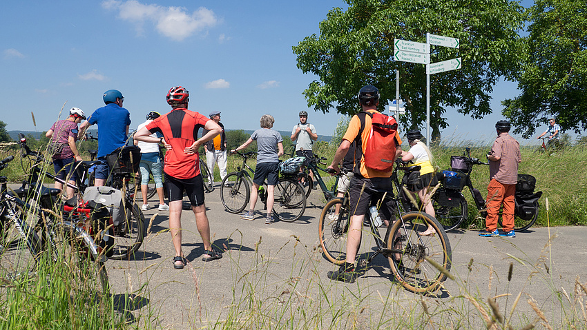 Eine Gruppe von Radfahrern macht Halt an einer Radwege-Kreuzung. Im Hintergrund sind Bäume und Radwegebeschilderungen zu sehen.
