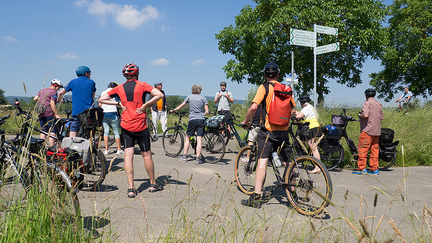 Eine Gruppe von Radfahrern macht Halt an einer Radwege-Kreuzung. Im Hintergrund sind Bäume und Radwegebeschilderungen zu sehen.