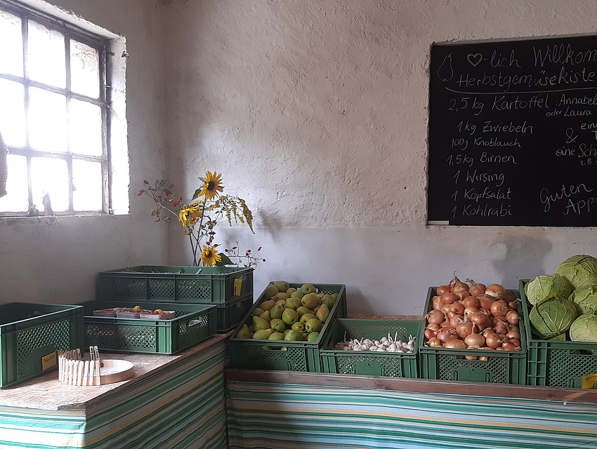 SoLawi Biohof Ewald in Friedberg/Ockstadt, Abholstelle (Gem&uuml;setisch)