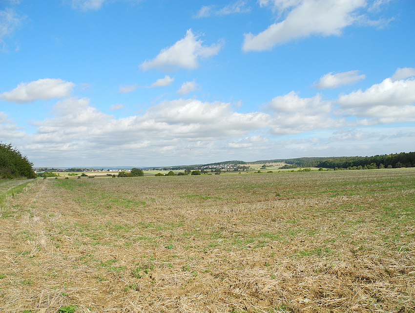 Bei klarem Wetter kann man vom Feldberg bis zum Dünsberg schauen.