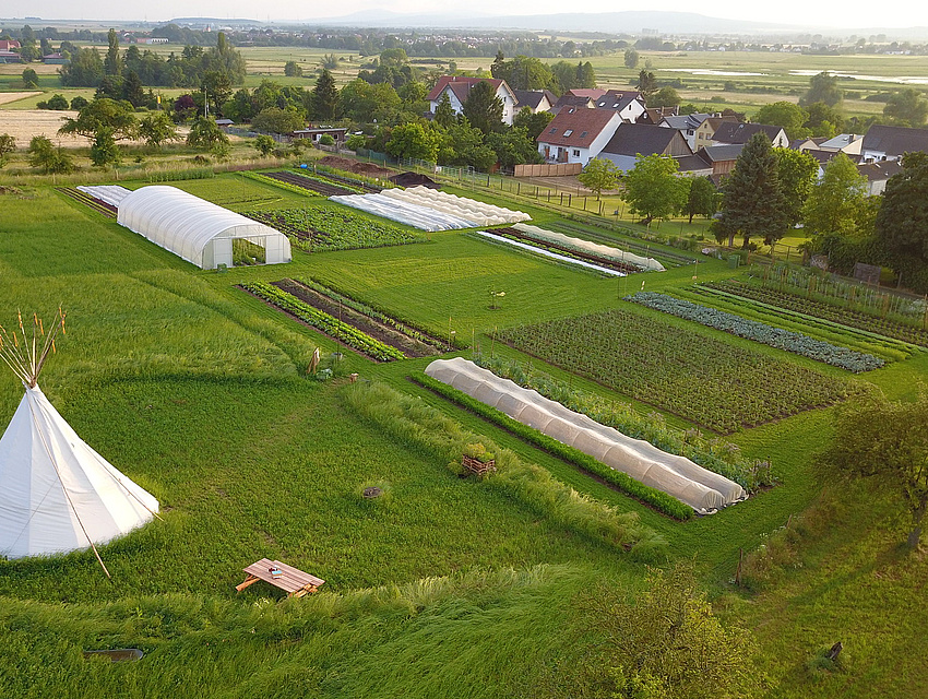 Selbsternte SoLawi feldgarten in Echzell7Bingenheim mit einem Tippi
