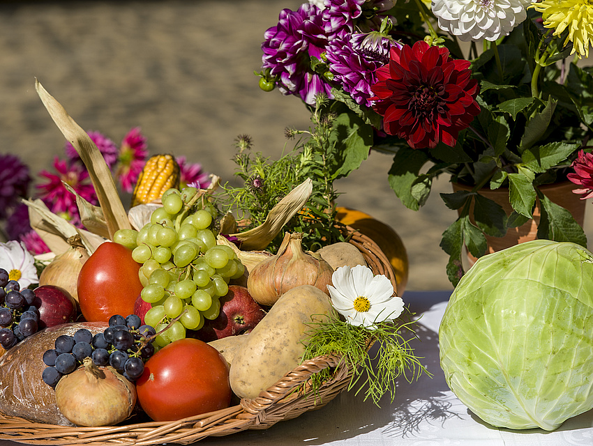 Landleben (Stillleben mit Gemüse und Blumen in einem Korb)