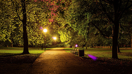 Ein Weg in einem Park in der Nacht. Der Weg ist beleuchtet, links und rechts eine Wiese, Bäume, rechts eine Parkbank.