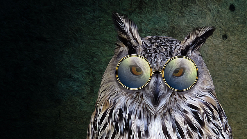 Eule mit Brille