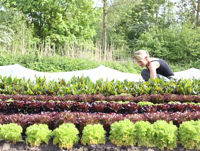 Anja Kirchner bei ihrem Gemüsefeld (Foto: Kraftfeld Gartengemüse)
