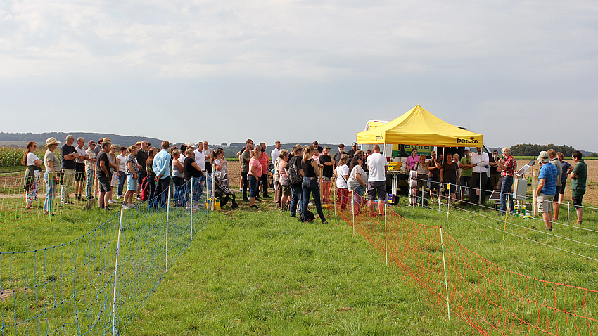 Mehrere Menschen stehen auf einer Wiese. Sie hören einer Person zu, die etwas erklärt. Dazwischen Zäune aus Netzen.