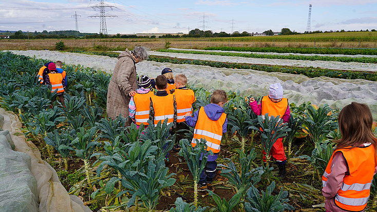 Eine Gruppe von Kindern in orangefarbenen Warnwesten steht in einem Feld.