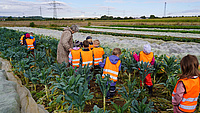 Eine Gruppe von Kindern in orangefarbenen Warnwesten steht in einem Feld.