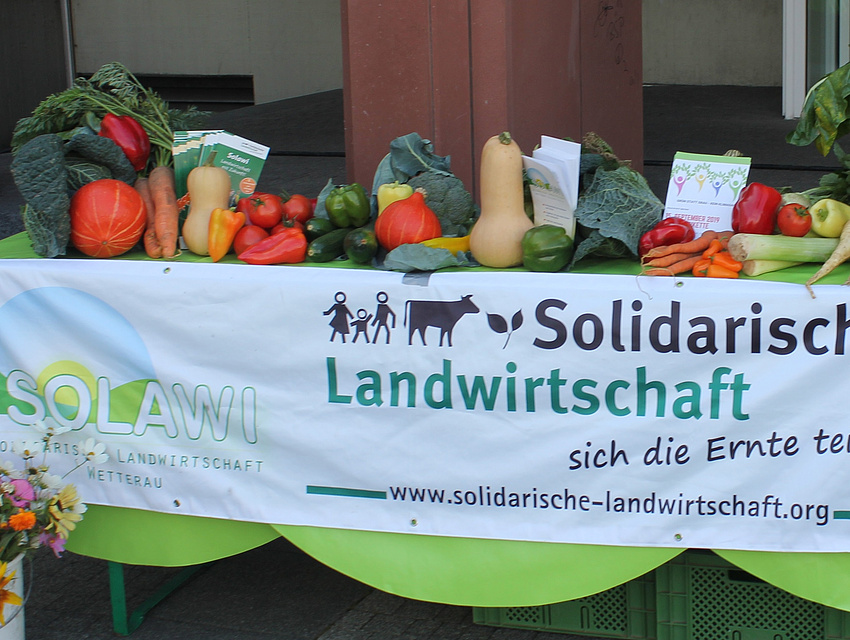 Gem&uuml;se auf einer Bierzeltgarnitur der SoLawi Dorheim