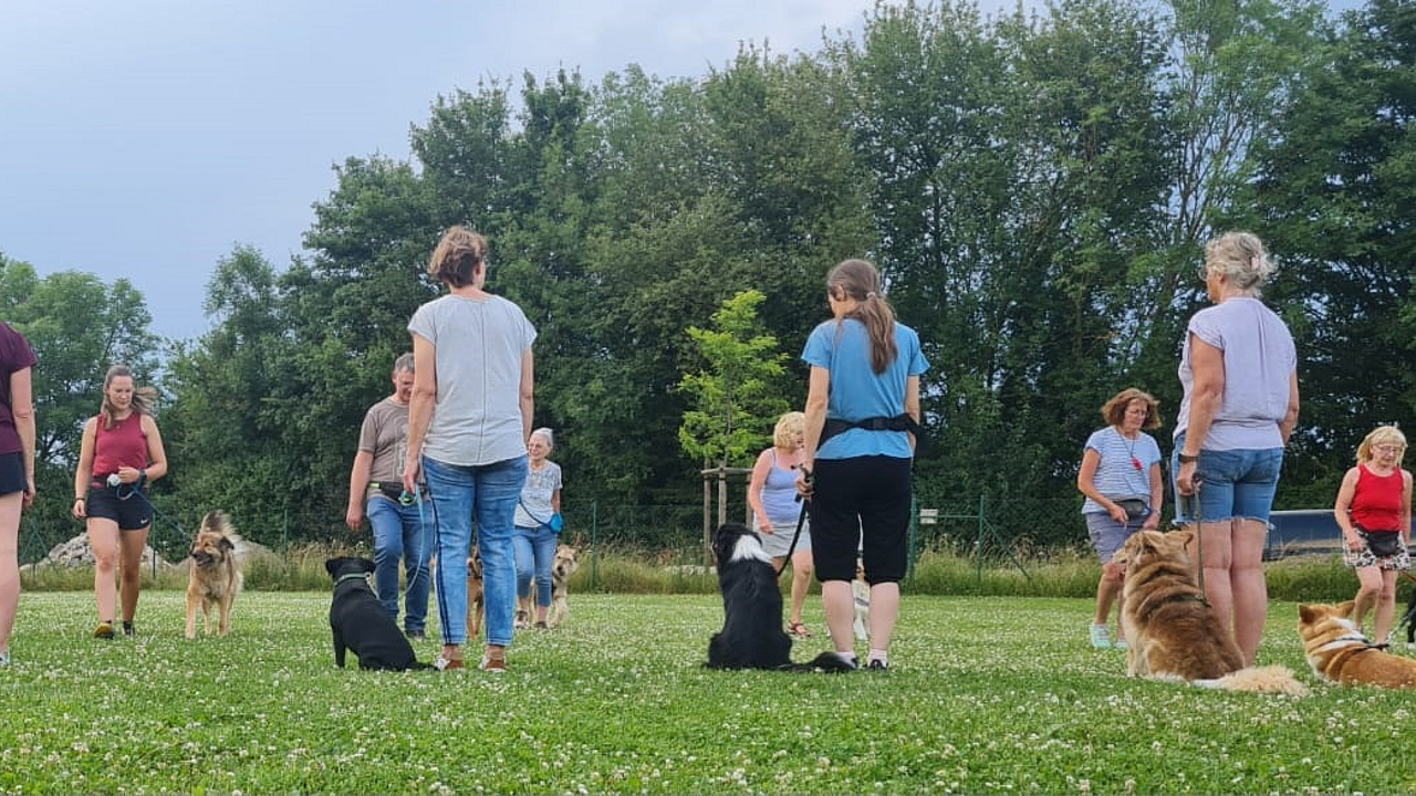 In zwei Reihen stehen Hundebesitzerinnen und Hundebesitzer mit ihren Hunden im Feld