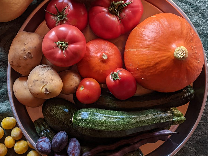Gem&uuml;seangebot der SoLawi Treibgut in Ober-M&ouml;rlen (Foto: SoLawi Treibgut)