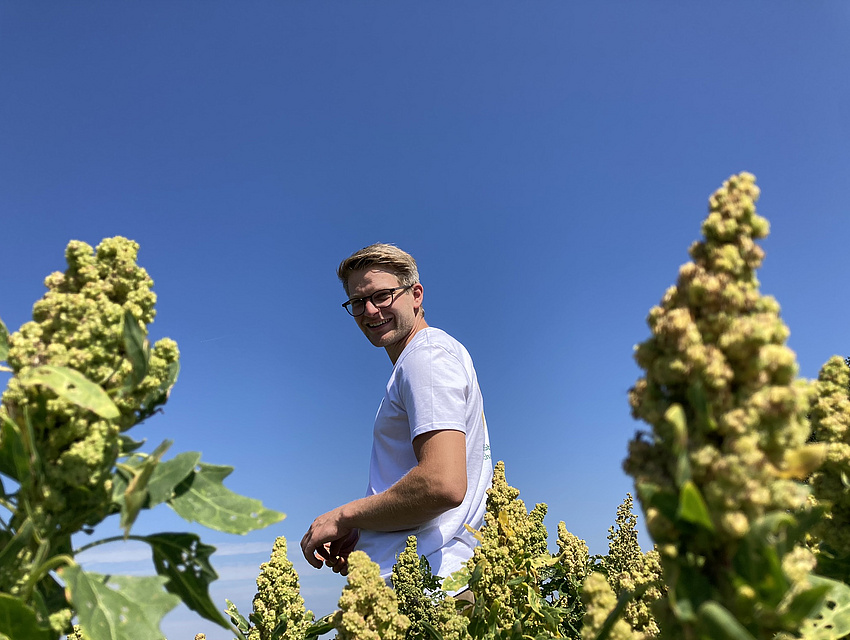 Markus Nies direkt in einem Quinoa-Feld