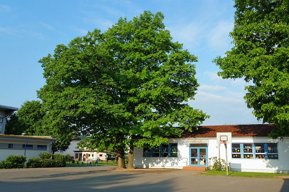 Schulgebäude der Laisbachschule