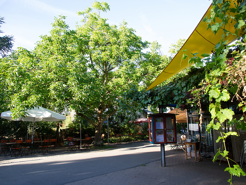 Sommerterasse Hofcafé