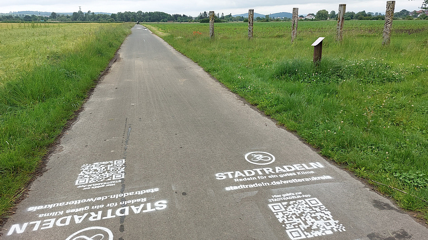 Ein beschrifteter Radweg mit grünen Wiesen rechts und links.