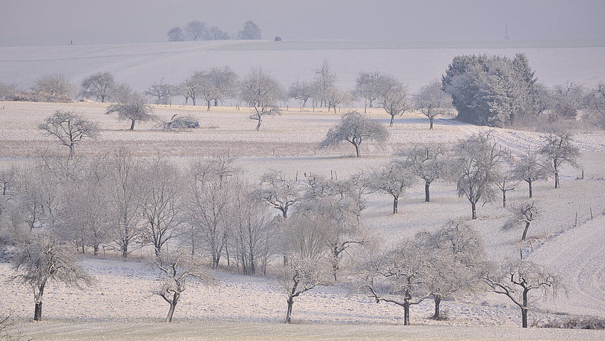 Eine von Schnee bedeckte Streuobstwiese.