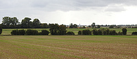 In einer weiten, offenen Feldlandschaft sieht man am Horizont eine Ortschaft. Die Landschaft ist durch verschiedene Hecken unterteilt.