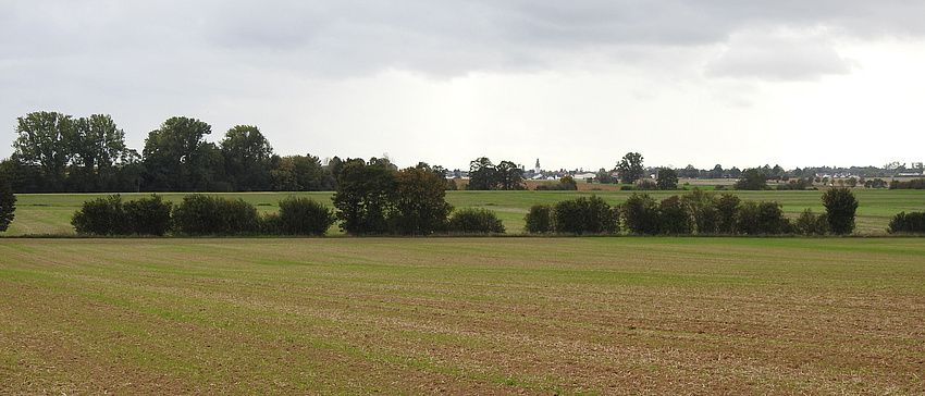 In einer weiten, offenen Feldlandschaft sieht man am Horizont eine Ortschaft. Die Landschaft ist durch verschiedene Hecken unterteilt.