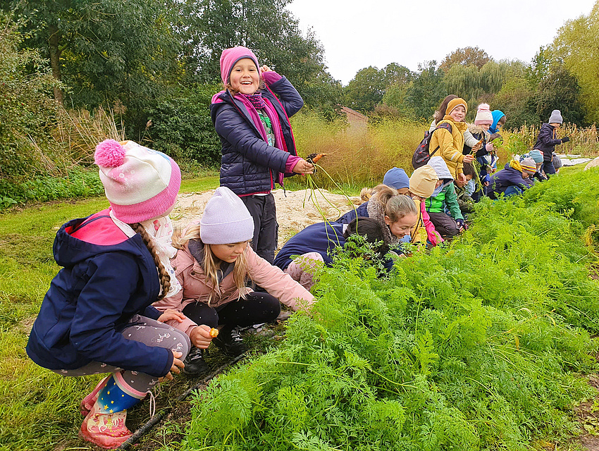 das Projekt "Bauernhof als Klassenzimmer", eine Kita bei der Möhrenernten (Foto: Kraftfeld Gartengemüse)
