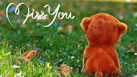 Auf einer Wiese sitzt ein Teddybär, mit einem Schriftzug "miss you"Bildquelle: Alexa auf Pixabay