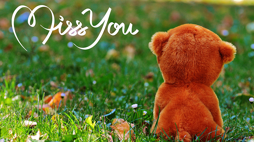 Auf einer Wiese sitzt ein Teddybär, mit einem Schriftzug "miss you"Bildquelle: Alexa auf Pixabay