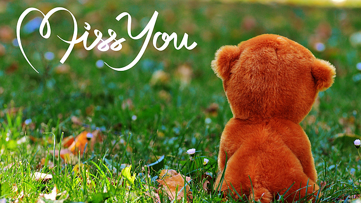 Auf einer Wiese sitzt ein Teddybär, mit einem Schriftzug "miss you"Bildquelle: Alexa auf Pixabay