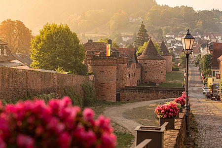 Jerusalemer Tor und Stadtmauer in Büdingen (Foto: Verena Holland)